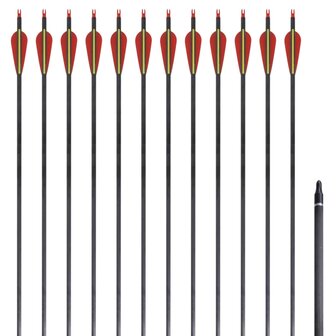 Pijlen voor recurveboog standaard 30&amp;quot; 0,76 cm koolstof 12 stuks