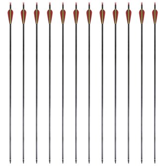 Pijlen voor recurveboog standaard 30&amp;quot; 0,76 cm koolstof 12 stuks