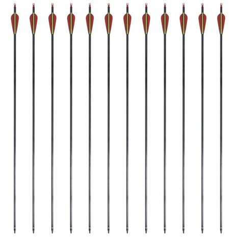 Pijlen voor recurveboog standaard 30" 0,76 cm koolstof 12 stuks